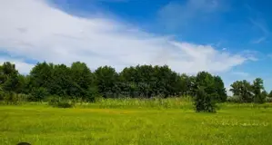 Land for sale in Jaffna Town