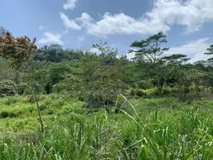 Land for Sale Pussellawa