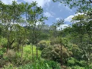 Land for Sale Pussellawa