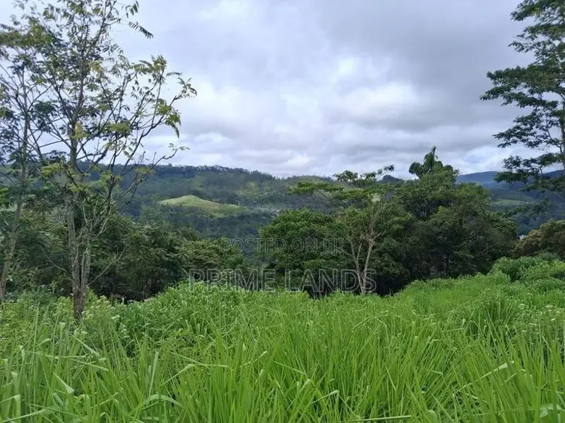 Land for Sale Pussellawa