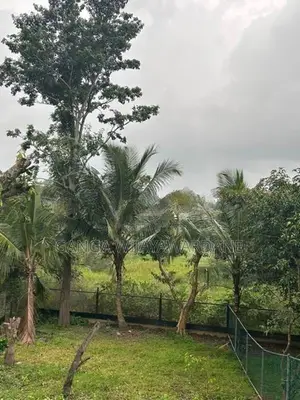 Beautiful Scenic Land for Sale Pittugala