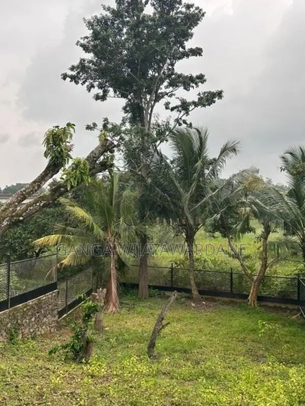 Beautiful Scenic Land for Sale Pittugala
