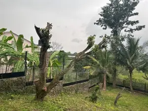 Beautiful Scenic Land for Sale Pittugala