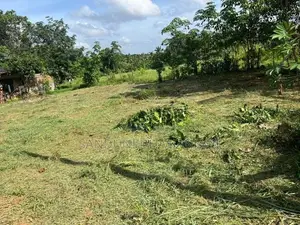 Land For Sale In Gampaha