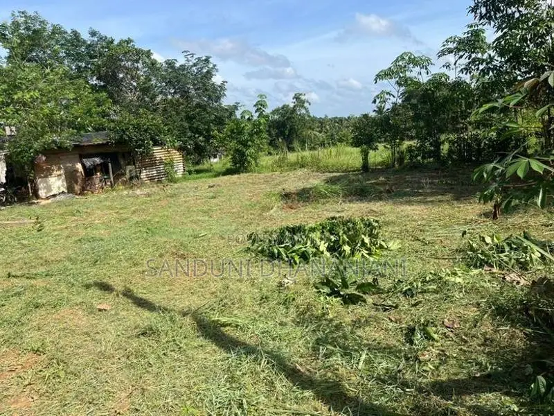 Land For Sale In Gampaha