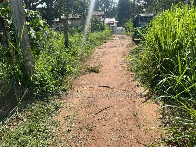 Land For Sale In Gampaha