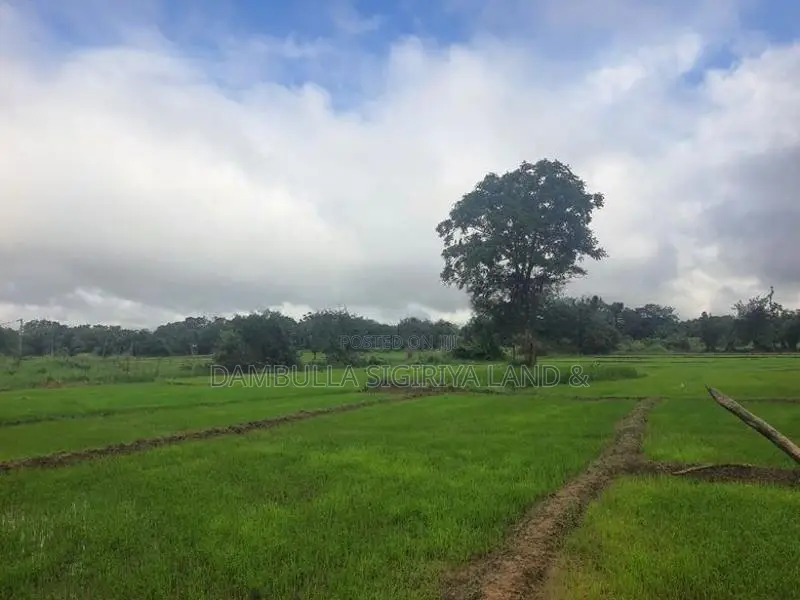 Land for Sale in Sigiriya - සීගිරියෙන් ඉඩමක් විකිණීමට
