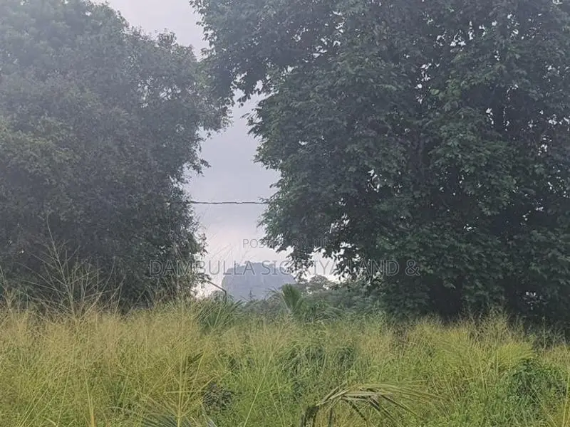 Land for Sale in Sigiriya - සීගිරියෙන් ඉඩමක් විකිණීමට