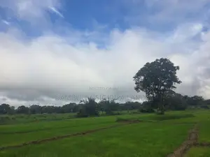 Land for Sale in Sigiriya - සීගිරියෙන් ඉඩමක් විකිණීමට