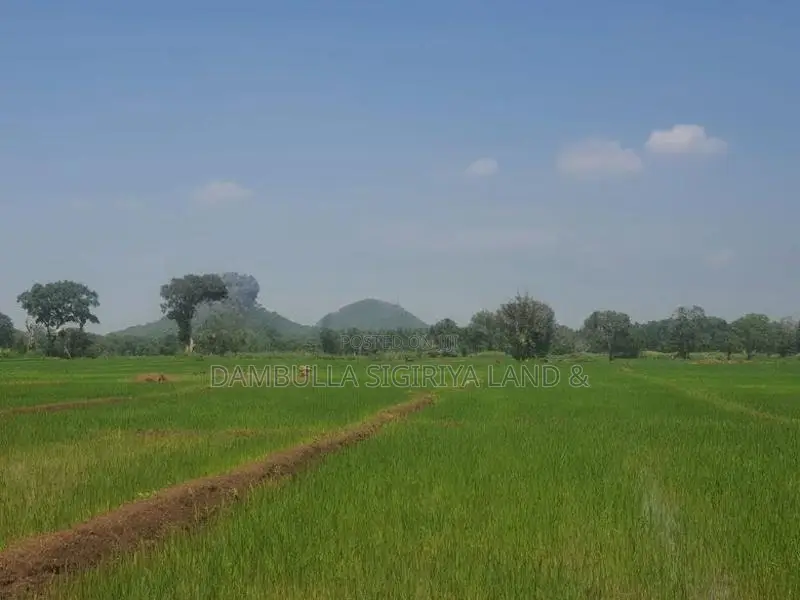 Land for Sale in Sigiriya - සීගිරියෙන් ඉඩමක් විකිණීමට