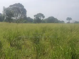 Land for Sale in Sigiriya - සීගිරියෙන් ඉඩමක් විකිණීමට