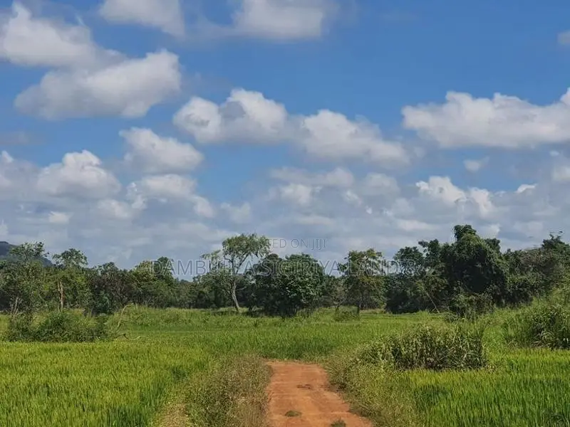 Land for Sale in Sigiriya - සීගිරියෙන් ඉඩමක් විකිණීමට