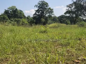 Land for Sale in Sigiriya - සීගිරියෙන් ඉඩමක් විකිණීමට
