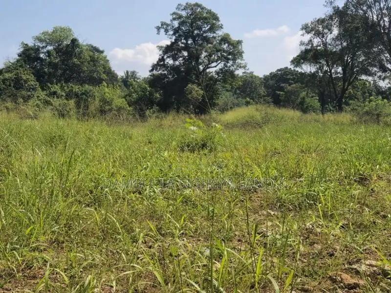 Land for Sale in Sigiriya - සීගිරියෙන් ඉඩමක් විකිණීමට