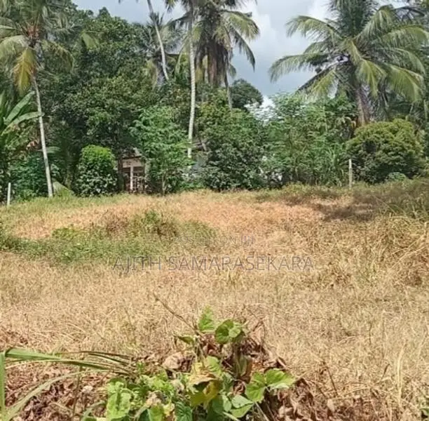 7p. Land Near Sri Jayawardhanapura Campus