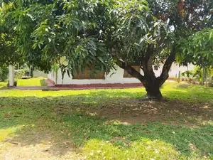 House for Sale පොල්ගහවෙල