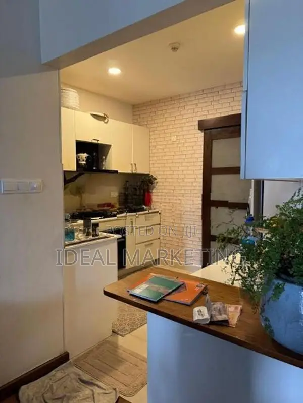 Rajagiriya - Luxury Apartment for rent