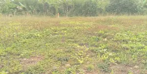 Residential Land for Sale in Athurugiriya