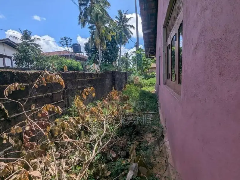 කටුනාකට ගුවන්තොටුපලට ලගින්ම ඉඩම