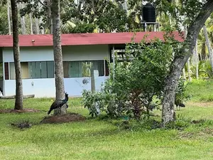 Land for sale in Katana