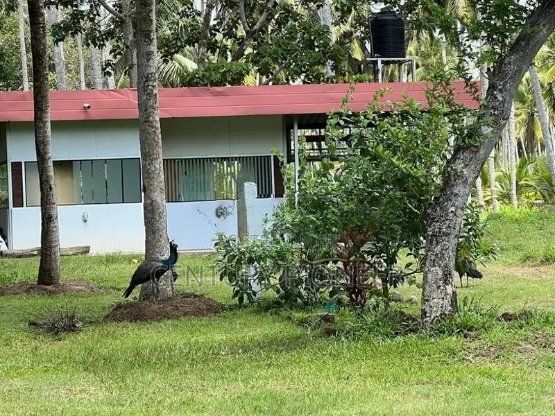 Land for sale in Katana