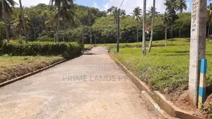 නාරම්මල ඉඩමක් විකිණීමට