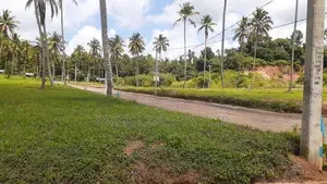 නාරම්මල ඉඩමක් විකිණීමට