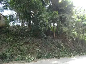 12.5 Perch Prime Residential Land for Sale | Kandy