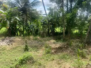 15 Perches of Prime Residential Land for Sale | Mawilmada