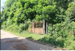 230 Perch of Prime Land for Sale Bandaragama