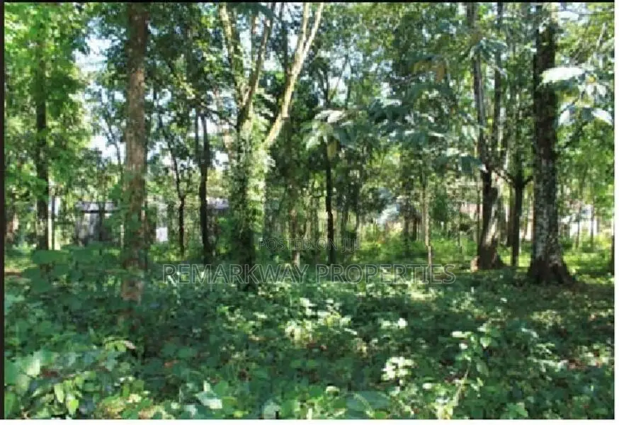 230 Perch of Prime Land for Sale Bandaragama