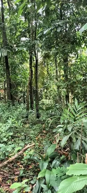 15-Perch Land for Sale in Eheliyagoda