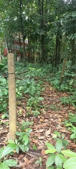 15-Perch Land for Sale in Eheliyagoda