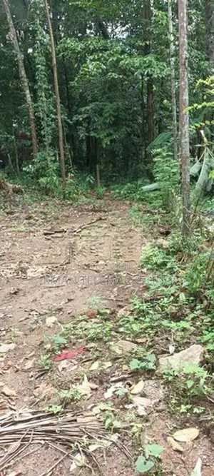15-Perch Land for Sale in Eheliyagoda