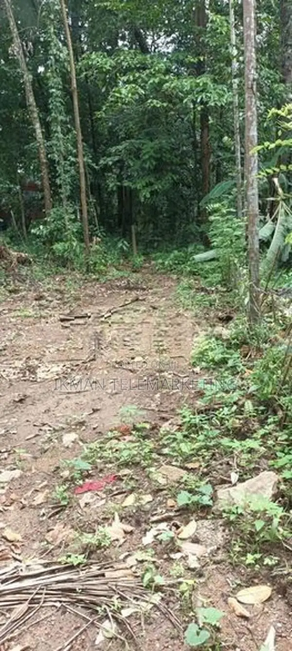 15-Perch Land for Sale in Eheliyagoda