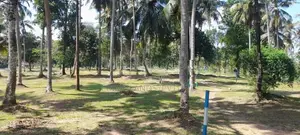 කොටදෙනියාව ඉඩම විකිණීමට