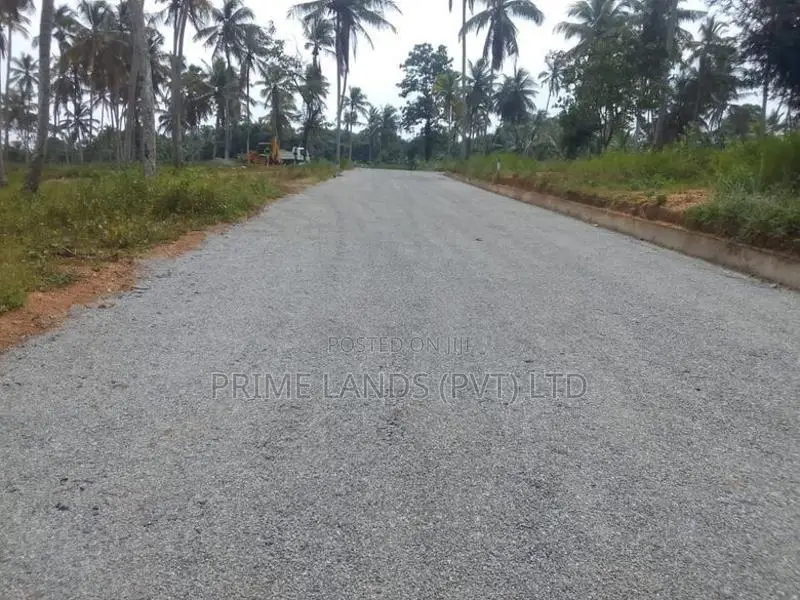 කොටදෙනියාව ඉඩම විකිණීමට