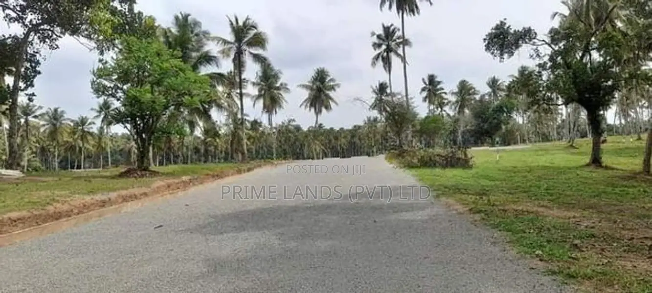 කොටදෙනියාව ඉඩම විකිණීමට