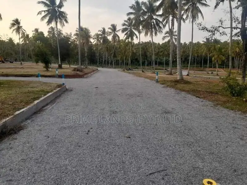 කොටදෙනියාව ඉඩම විකිණීමට