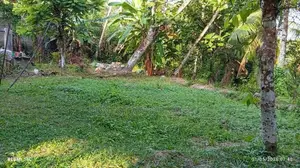 Land for Sale in Kohuwala.-LS753