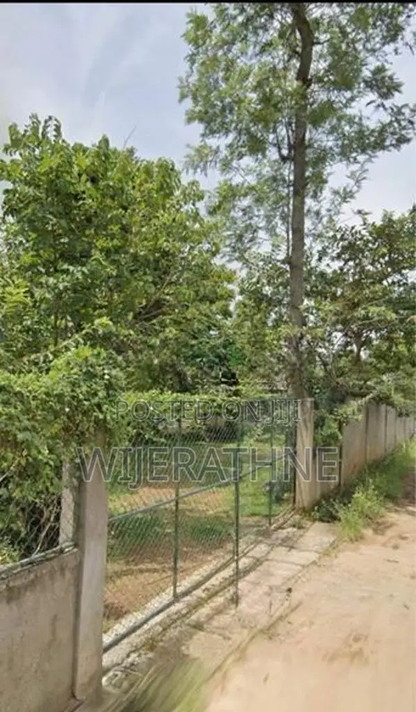 31 Perch Land For Sale In Bandarawela