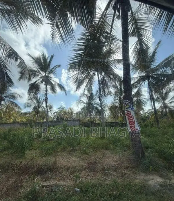 දංකොටුවේ පර්චස් 15ක සින්නක්කර ඉඩමක් විකිණීම