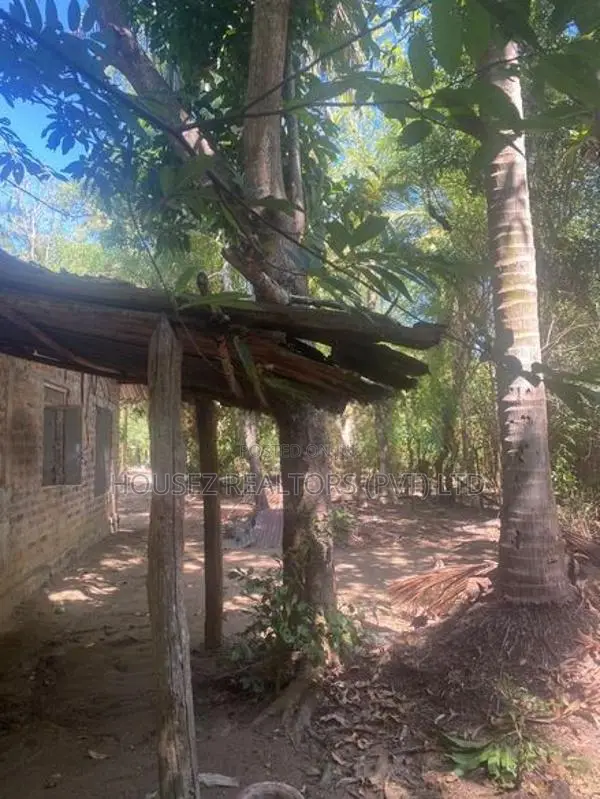 Spacious 4-Bedroom House on 80 Perches for Sale – Dehiattakandiya