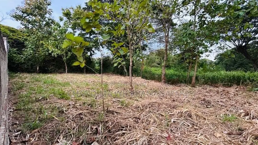 කුලියාපිටිය නගර සීමාවෙන් නිස්කලංක ඉඩමක්