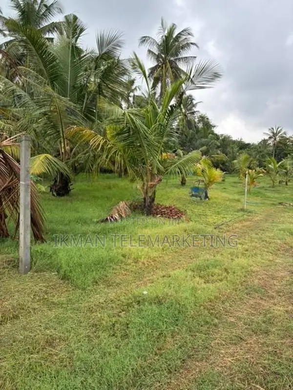 Land for Sale Uswetakeiyawa