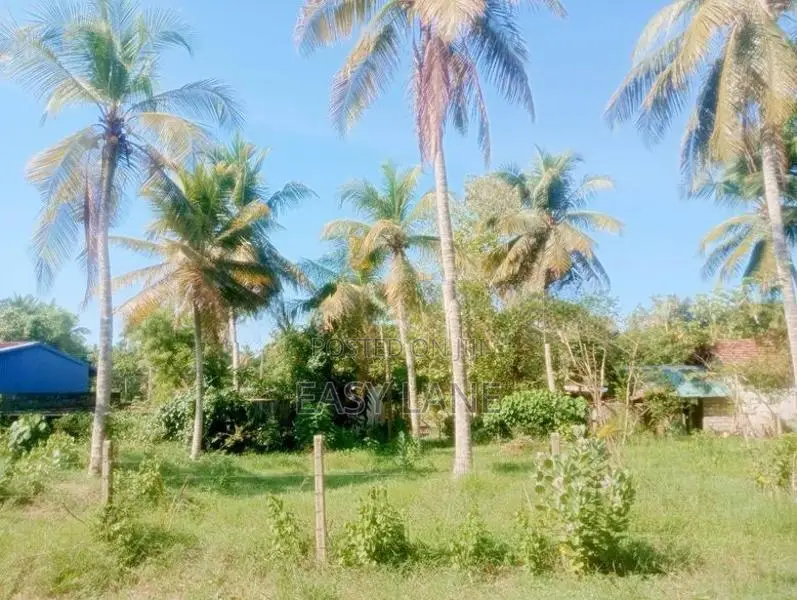 නාත්තන්ඩියෙන් වටිනා බිම් කොටසක් විකිණීමට