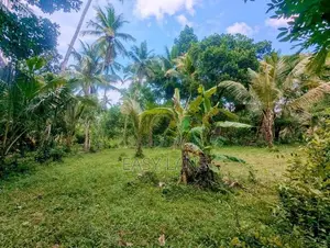 ගම්පහ – වටිනා බිම් කොටසක් විකිණීමට