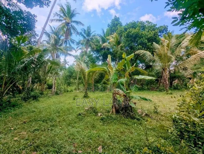 ගම්පහ – වටිනා බිම් කොටසක් විකිණීමට