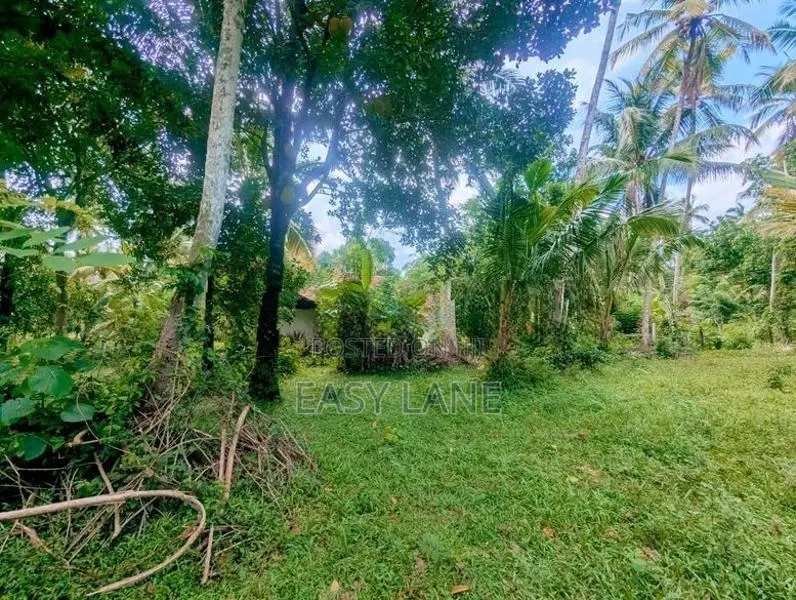ගම්පහ – වටිනා බිම් කොටසක් විකිණීමට