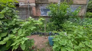 Land for sale in Kiribathgoda